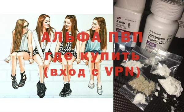 молекула духа Алексин