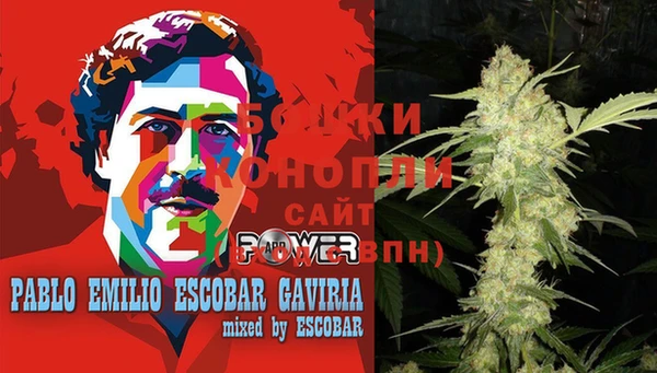 молекула духа Алексин